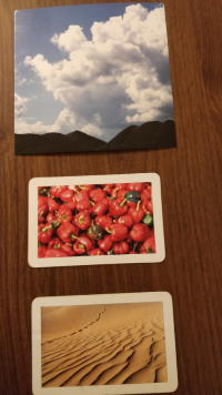 overspoeld-door-paprikas-therapie-amsterdam